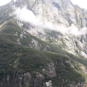 Milford Sound - Tours Near Me - Queenstown, STL Milford Sound - Tours Near Me - Queenstown, STL