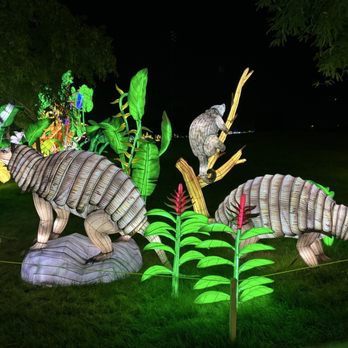 Tianyu Lights Festival - Lights - Festivals Near Me - Phoenix, Arizona Tianyu Lights Festival - Lights - Festivals Near Me - Phoenix, Arizona