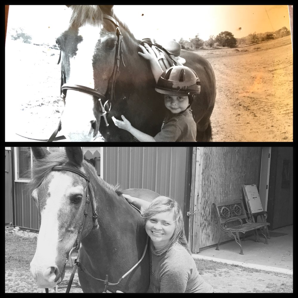 Bookmark Farms - equestrian in Pataskala, OH