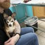 Photo of Alma School Animal Hospital