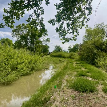 Savery Farm Mushroom Pond - Little canal that runs; dividing line between Mushroom Pond and Foxshire Park right next - Parks Near Me - Denver, Colorado Savery Farm Mushroom Pond - Little canal that runs; dividing line between Mushroom Pond and Foxshire Park right next - Parks Near Me - Denver, Colorado