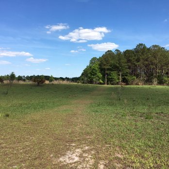 Alafia River State Park - this is 99.9% of what the "hiking trails" here are. i feel like i paid to walk through someone's cow pasture and get sunburnt. - Hiking Near Me - Lithia, Florida