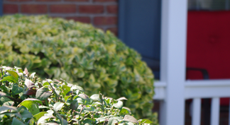 Caterbone Property Services LLP