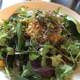 Bunless Veggie Burger