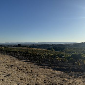 Ecluse Wines - Wineries Near Me - Paso Robles, California