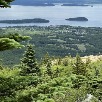 Bar Harbor Inn - Nearby Acadia National park. Is beautiful. - Hotels Near Me - Bar Harbor, Maine