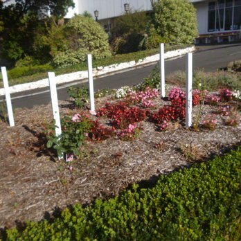Fletcher Jones Garden - Garden - Parks Near Me - Warrnambool, VIC