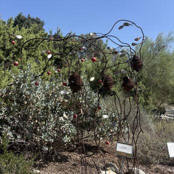 California Botanic Garden - Botanical Gardens Near Me - Claremont, California