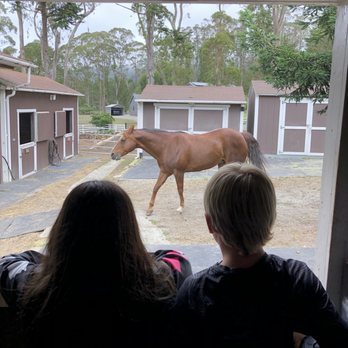 Double J Ranch - Peacefully watching the horses go by. - Horseback Riding Near Me - Montara, California Double J Ranch - Peacefully watching the horses go by. - Horseback Riding Near Me - Montara, California