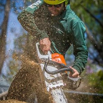 Bow and Arrow Tree Service - Tree Services Near Me Bow and Arrow Tree Service - Tree Services Near Me
