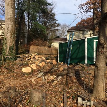 Dad's Tree Service - A lump o' logs.  Right where they should be.  Excellent job, Dad's!!! - Tree Services Near Me