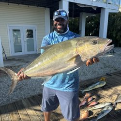 Seas The Day Charters