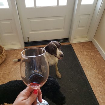 Bumgarner Winery - Sippin with the wine pups Hudson and Figgy - Wineries Near Me - Fair Play, California Bumgarner Winery - Sippin with the wine pups Hudson and Figgy - Wineries Near Me - Fair Play, California