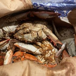 The Wharf DC - Whole Male Crabs !