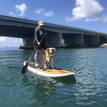 SUP Pups - How fun is this? Can't wait to go back... - Paddleboarding Near Me - San Diego, California SUP Pups - How fun is this? Can't wait to go back... - Paddleboarding Near Me - San Diego, California