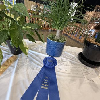 San Mateo County Fair - Plants - Festivals Near Me - San Mateo, California