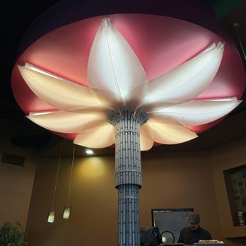 Haiku Japanese Restaurant - Japanese Near Me - Austin, Texas