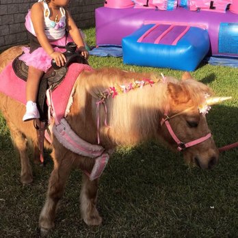 Ponies For Parties - Party Supplies Near Me