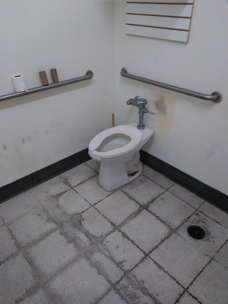 DOLLAR TREE Updated October 2024 11 Photos 1466 N Woodland Blvd