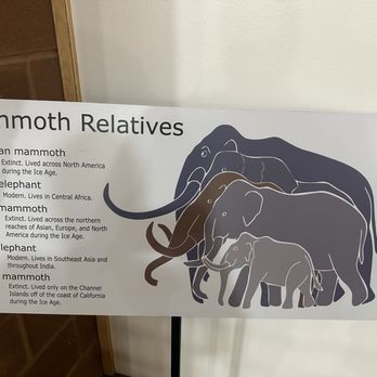 The Mammoth Site - Museums Near Me - Hot Springs, South Dakota The Mammoth Site - Museums Near Me - Hot Springs, South Dakota