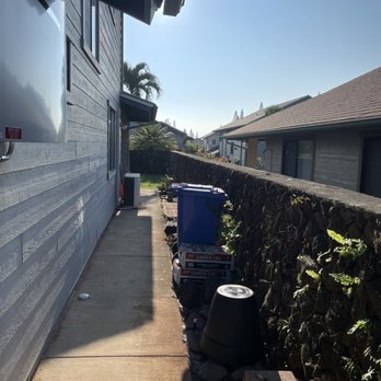 Island Trees - No papaya tree - after - Tree Services Near Me Island Trees - No papaya tree - after - Tree Services Near Me