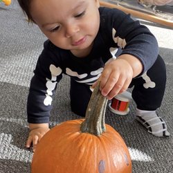 Miniapple International Montessori School - Our youngest learners exploring pumpkins.