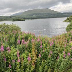 Highlands Unbridled Trail Riding and Trekking centre