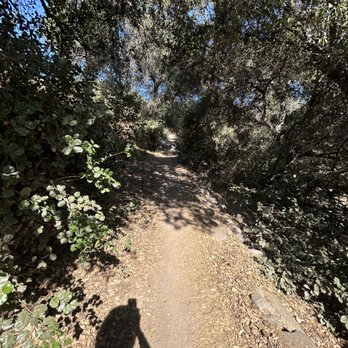 Hahamongna Watershed Park - Walking path behind the upper parking lot. October 2024 - Parks Near Me - La Cañada Flintridge, California Hahamongna Watershed Park - Walking path behind the upper parking lot. October 2024 - Parks Near Me - La Cañada Flintridge, California