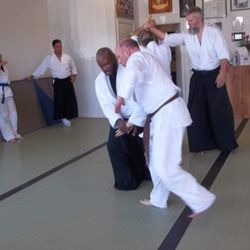 Aikido Martial Arts Center-Heiwa Toushinkan Dojo - Student Testing