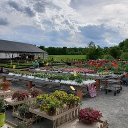 Randall's Farm