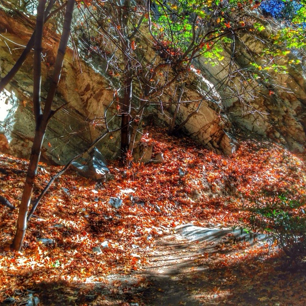 Santa Anita Canyon - Hiking Near Me Santa Anita Canyon - Hiking Near Me