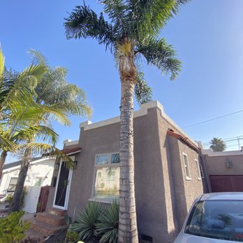 A's Tree Service - BEFORE: 2nd Large Queen Palm in tight concrete enclosure. - Tree Services Near Me - Placentia, California A's Tree Service - BEFORE: 2nd Large Queen Palm in tight concrete enclosure. - Tree Services Near Me - Placentia, California