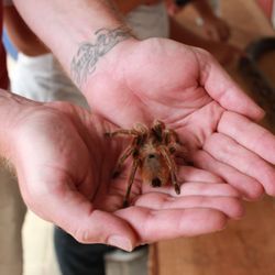 Blåvand Zoo - Den Eckel überwunden!