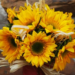 MAS Floral