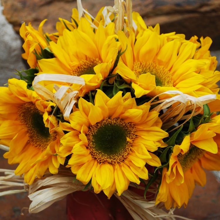 MAS FLORAL Updated October 2024 105 Wood Forest Rd, Kingsland, Texas Florists Phone