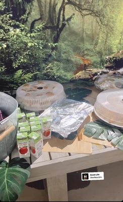 Pacific Kosher Express by null