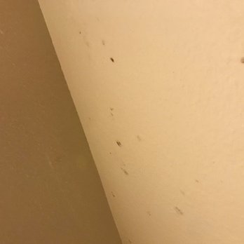 Quality Inn - black mold 3 - Hotels Near Me - Madras, Oregon Quality Inn - black mold 3 - Hotels Near Me - Madras, Oregon