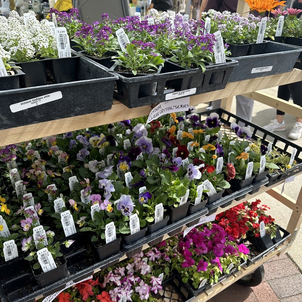 Dane County Farmers' Market - Farmers Market Near Me - Madison, Wisconsin Dane County Farmers' Market - Farmers Market Near Me - Madison, Wisconsin