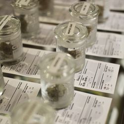 Bridge City Collective Weed Dispensary N Portland