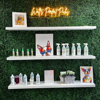 Walt's Perfect Pups - Pet Groomers Near Me Walt's Perfect Pups - Pet Groomers Near Me