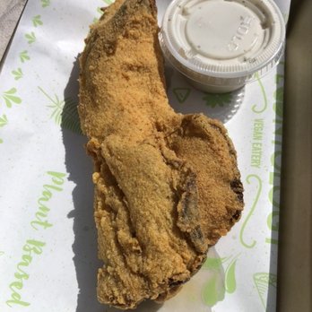 Plantology - Oyster Mushroom - Vegan Near Me - San Antonio, Texas Plantology - Oyster Mushroom - Vegan Near Me - San Antonio, Texas