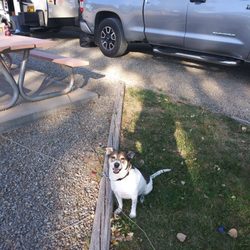 Sleeping Ute RV Park - Bart is happy to be outside