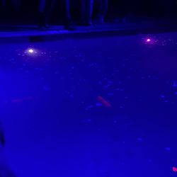 Recess - The pool