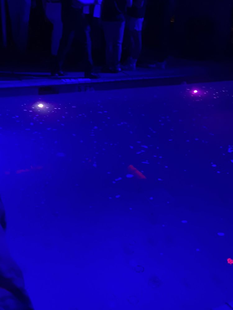 RECESS 10 Photos & 31 Reviews 705 South Woodward Ave, Tallahassee