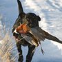 Photo of Fieldsport