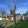 Photo of HecMar Landacaping & Tree Service