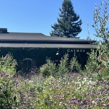 Caymus Vineyards - Wineries Near Me - Rutherford, California
