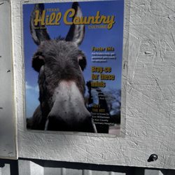 D & D Ranch - They have been written up in the Hill Country Culture by The Kerrville Daily Times.