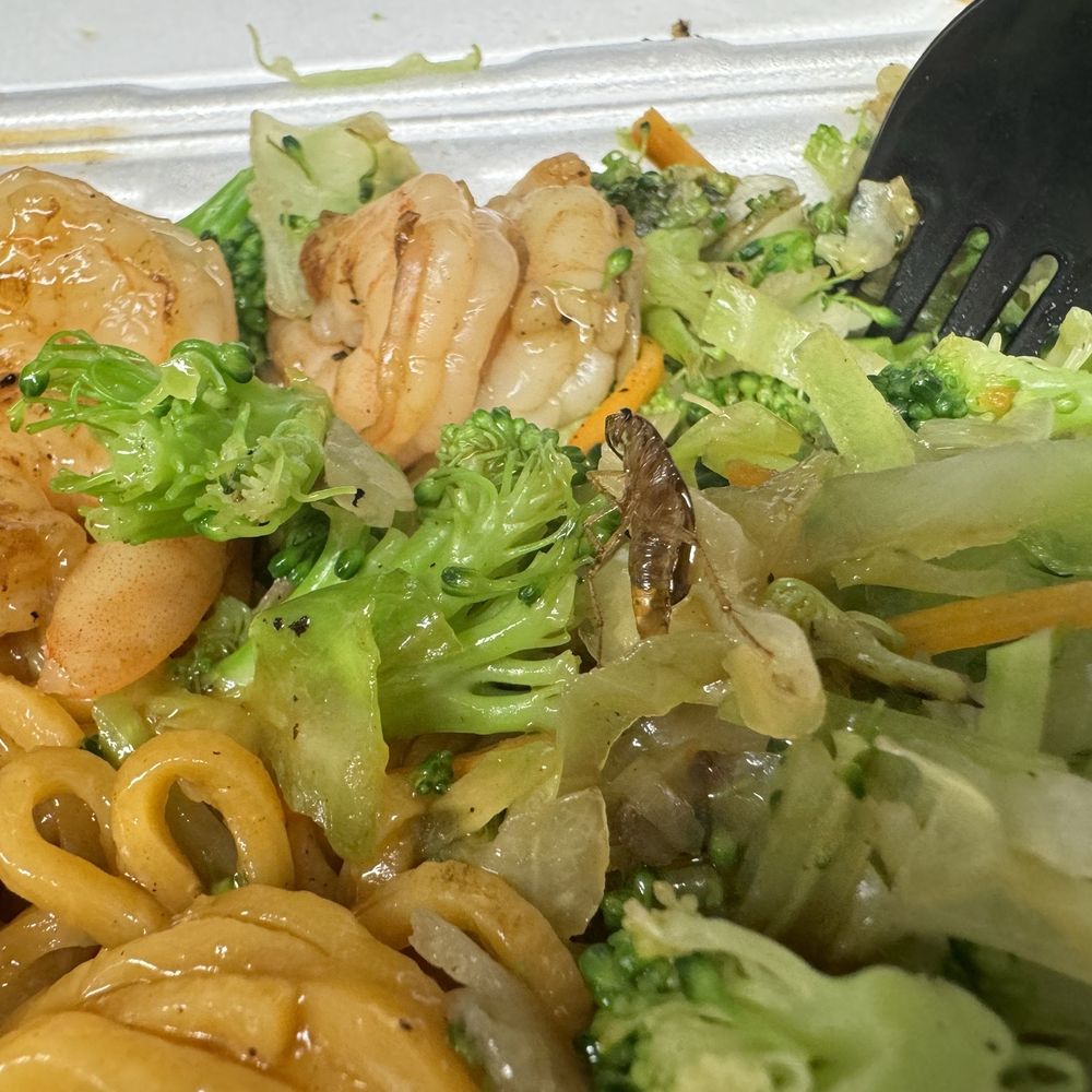 Cockroach in veggies. Absolutely disgusting!! Unsanitary place to eat. Will never go here again. Cockroach in veggies. Absolutely disgusting!! Unsanitary place to eat. Will never go here again.