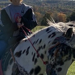 Riding at Horseplay in Breezewood PA